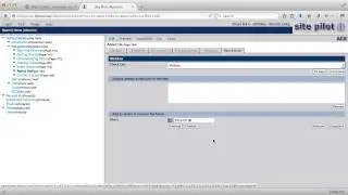 helpcenter-sitepilot-ace-tabs-workflow