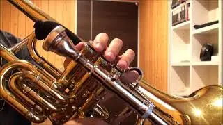 HOLTON SUPERBONE TR395