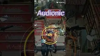 audionic mean in Urdu with pictures