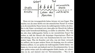 Rudolf Steiner GA 293 3. Vortrag Allgemeine Menschenkunde als Grundlage der P&auml;dagogik