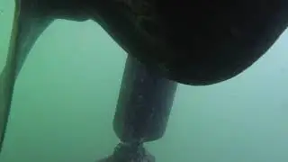 Propeller cleaning