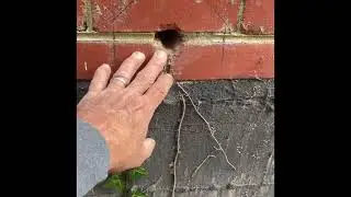 Replacing a hose bib outside faucet 