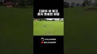 다같이 비 맞고 혼자 뽀송한 비법 #김솔비 #챌린저
