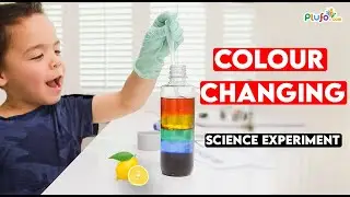 Colour Changing Science Experiment - Lemon vs Detergent - Acid vs base