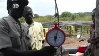 Fomentar la agricultura en Sud&aacute;n del Sur