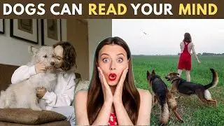 Dogs can read your mind ? | 10 surprising and interesting facts about animals | #facts #animals