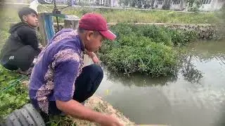 Part 2 Keseruan mancing ikan nila dan wader di danau liar. 