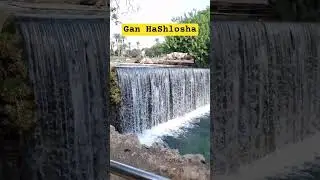 Gan HaShlosha(Garden of Eden) #travel #spring #shortvideo #israel
