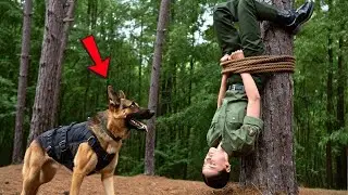 K9 Finds Ranger Hanging Upside Down from a Tree &ndash; What Happens Next Will Shock You!