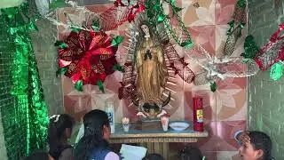 Fiesta anual en honor a la Virgen de Guadalupe en San Mateo Mpio, de Malinaltepec 2024  DVD 1