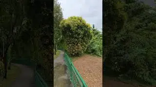 Faber Walk (Singapore)