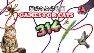【Cat Games MIX 314】 Full Screen Play  ネズミ・トカゲ・鳥・ヒモ 8時間 🐱