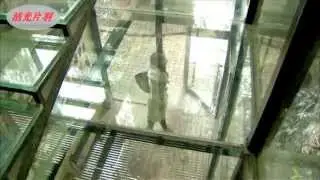 我的经济适用男第6集陈启中精华版