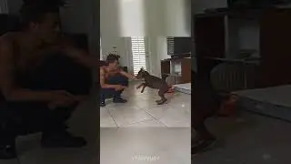 XXXTENTACION and his dog (June 14, 2015)