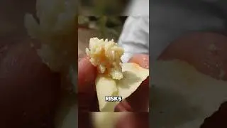 The World&rsquo;s Most Dangerous Cheese