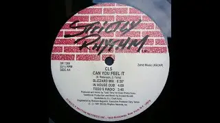 CLS &ndash; Can You Feel It - In House Dub - (Reactivate Volume 4 - Technovation)