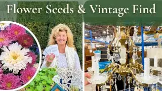 Flower Seeds to Grow This YEAR and Update on the AMAZING Vintage Find!
