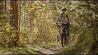 INLANDSIS | Stay Calm, Ride Fast &ndash; Start Your Bikejoring Adventure!