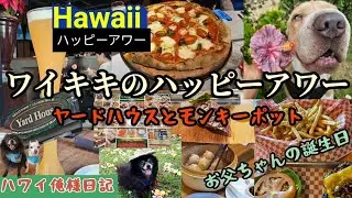 【ハワイ】大人気レストラン５店紹介ハッピーアワーのヤードハウス/モンキーポット/ホノルルバーガー/お父ちゃんの誕生日/2025年から20新年の俺様とジュニア