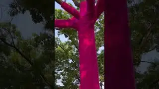 This summer is all about pink 🩷