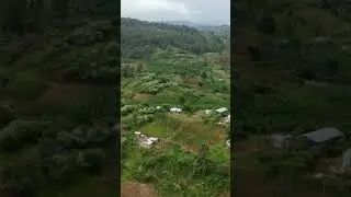 Have you seen this side of Jamaica? #drone #jamaica #country #alps #island #dronevideo