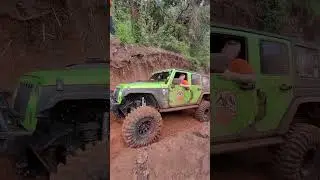 4x4 chanflora 2022 Shorts