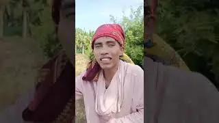 ubi song by salindo benal bun