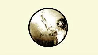 Testimonial Privileges - Evidence Law