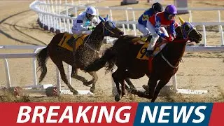 Horse Racing Makes HISTORY First Autism-Friendly Race Day in Dubai। USA NEWS TODAY
