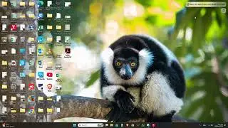 How to add recent files in list in Windows 11?