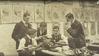 The Body Snatchers: Corpse and Effect