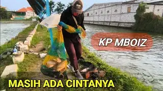 Masih ada cintanya patin babon - Kp Mboiz Gresik #186