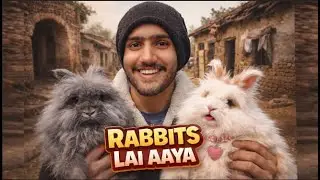 Fancy Rabbits Lai Aaya 🐇✨ | Cute Bunny Arrival | Mazro Farm