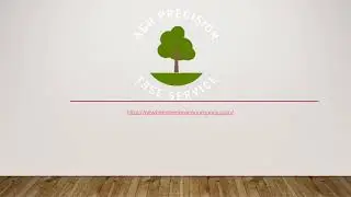 Tree Roots Removal Emerald Isle, NC