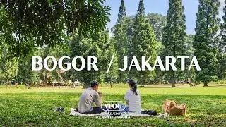 Bogor, Jakarta VLOG / Picnic Botanical Garden, GBK, Strolling Park, Grocery Haul, Foods