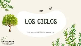 Los ciclos - Crónica de exploración hacia la naturaleza 