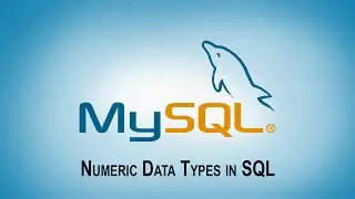 Numeri Data Types in SQL || Structured Query Language