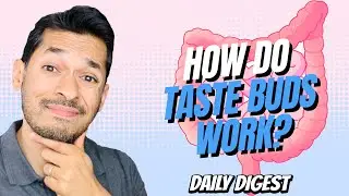 How Do Taste Buds Work?