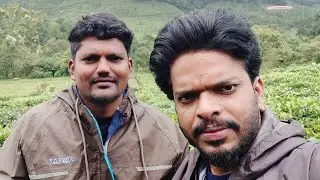 ಮಲೆನಾಡು #malenadu #kadamanews #teaestates #beautytips #naturelovers @Prakrutivihara
