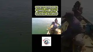 #ikanbaronang #baronang #ikanbabon #ikankerapu #mancinglaut #fishing #bpro5 #shortsvideo #shortvideo