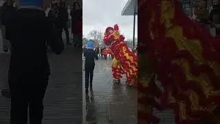Michigan Lion Dance