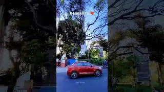Bangalore City view 😍 || Bangalore Beautiful road 😍#bangalore #bangalorecity !! sabidur travel world
