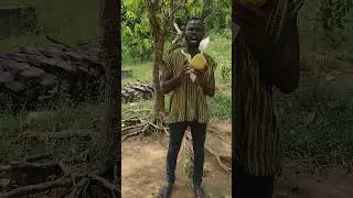 Health benefits of sugar apple(aper3).
