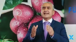BERRY BALANCE - Dr.  Iv&aacute;n Columbus