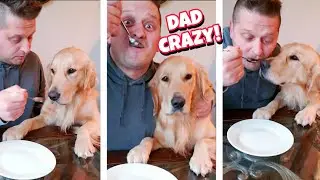 My DOG reacts to the invisible FOOD Challenge