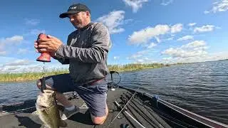 19 Dec 25 Stick Marsh 1