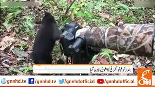 Viral videos around the world | GNN | 17 July 2019