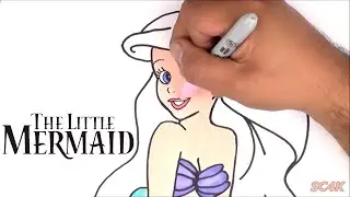 We draw The Little Mermaid Ariel