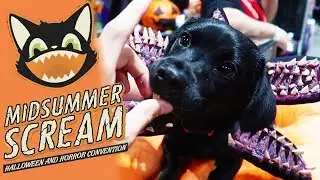 Midsummer Scream 2019 | Halloween & Horror Convention