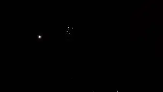 Murmina von Tropic Fireworks